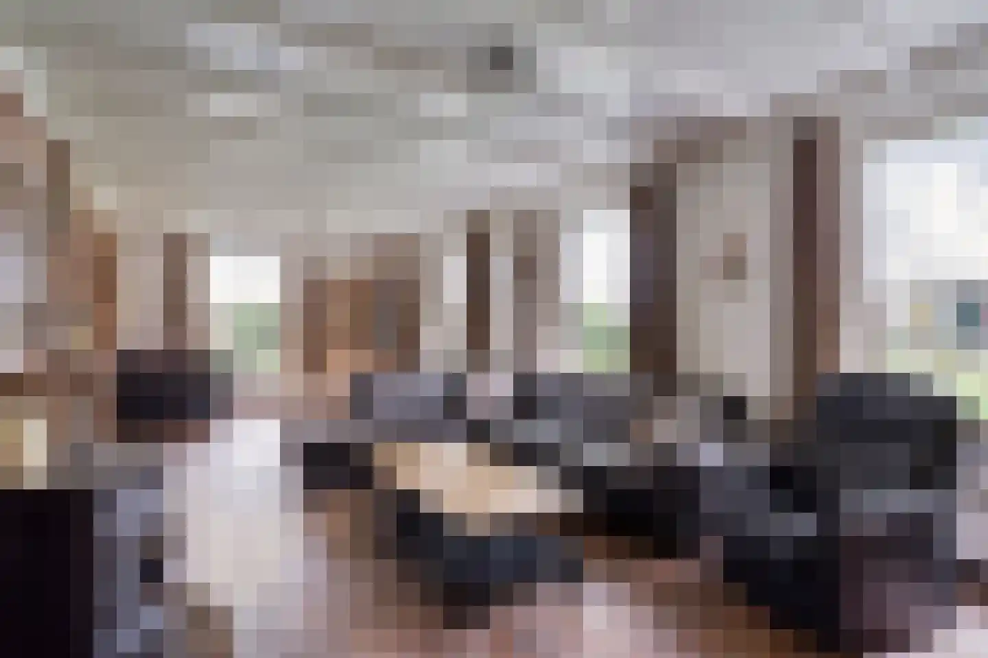 Voort 34 Reusel thumbnail 9