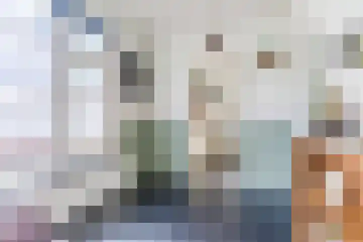 Voort 9 Reusel thumbnail 10