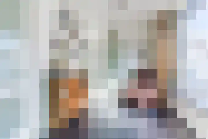 Voort 9 Reusel thumbnail 11