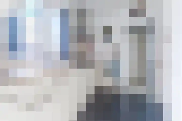 Voort 9 Reusel thumbnail 12