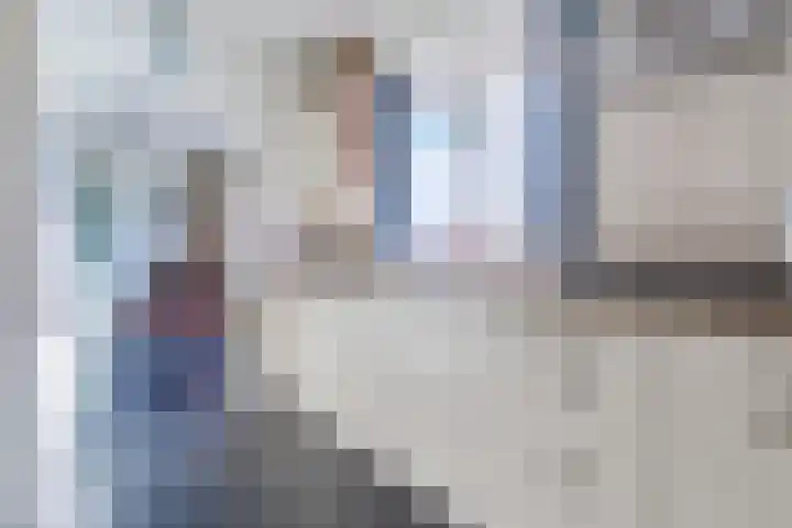 Voort 9 Reusel thumbnail 13