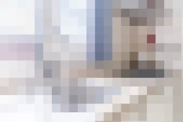Voort 9 Reusel thumbnail 14