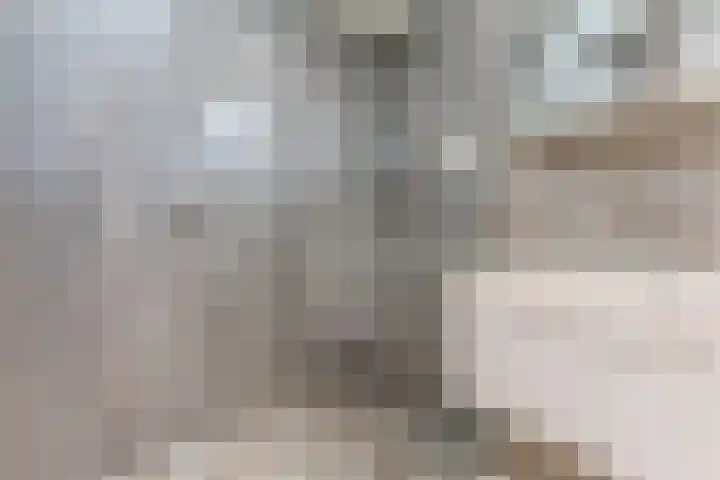 Voort 9 Reusel thumbnail 16