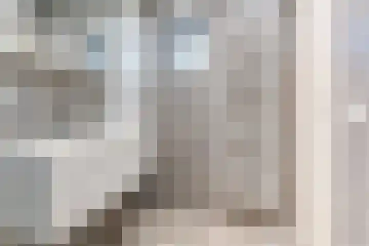 Voort 9 Reusel thumbnail 17