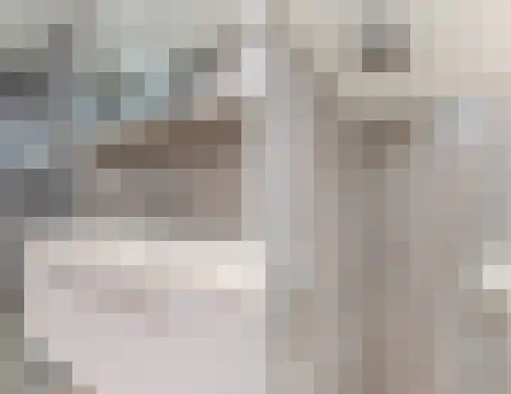 Voort 9 Reusel thumbnail 18