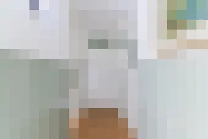 Voort 9 Reusel thumbnail 19