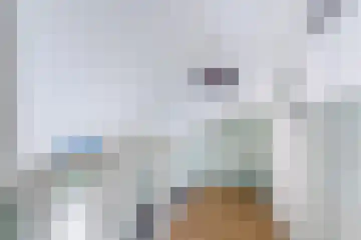 Voort 9 Reusel thumbnail 20