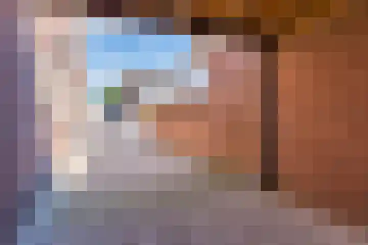Voort 9 Reusel thumbnail 31