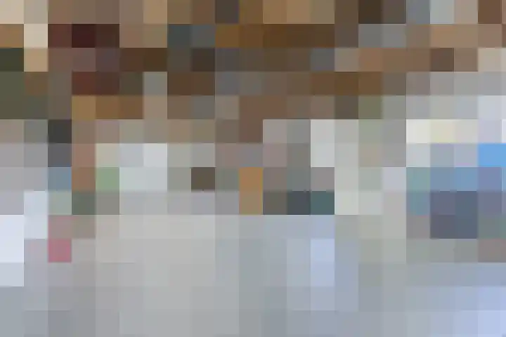 Voort 9 Reusel thumbnail 32