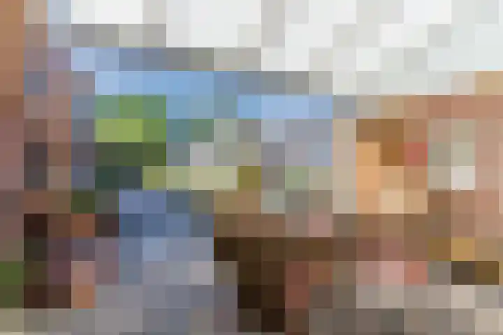 Voort 9 Reusel thumbnail 33