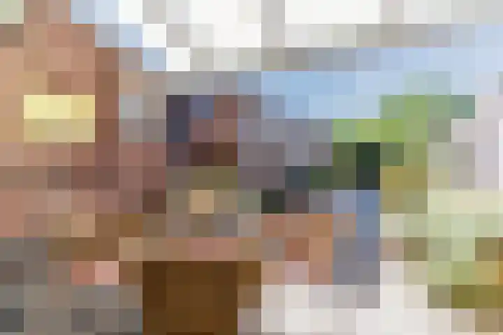 Voort 9 Reusel thumbnail 34