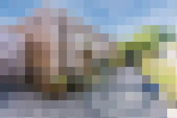 Voort 9 Reusel thumbnail 35