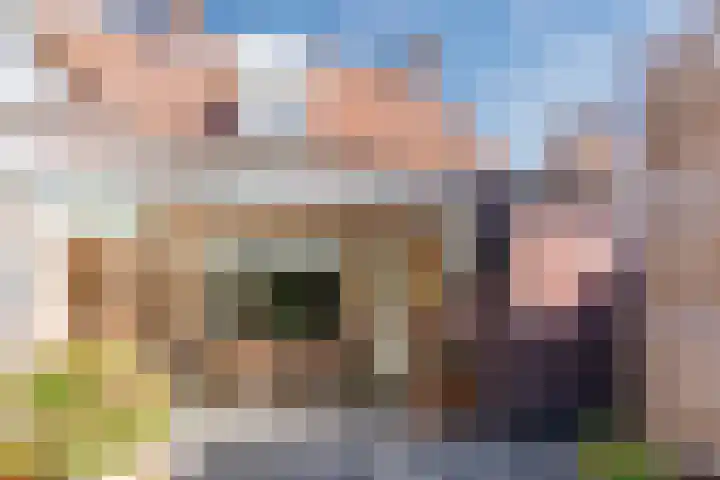 Voort 9 Reusel thumbnail 36