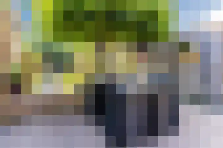 Voort 9 Reusel thumbnail 37