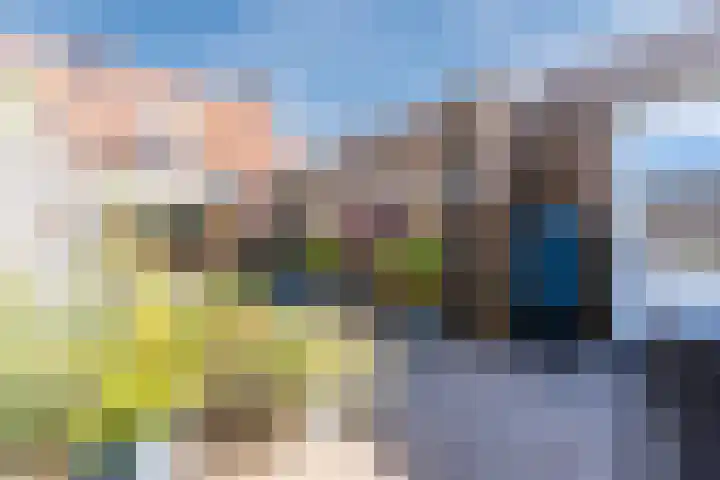 Voort 9 Reusel thumbnail 38