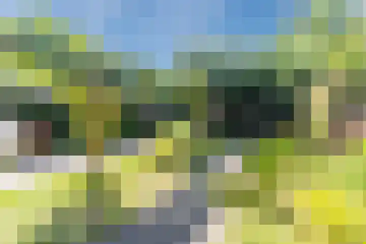 Voort 9 Reusel thumbnail 39