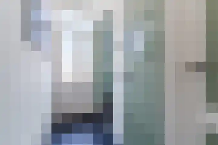 Voort 9 Reusel thumbnail 4