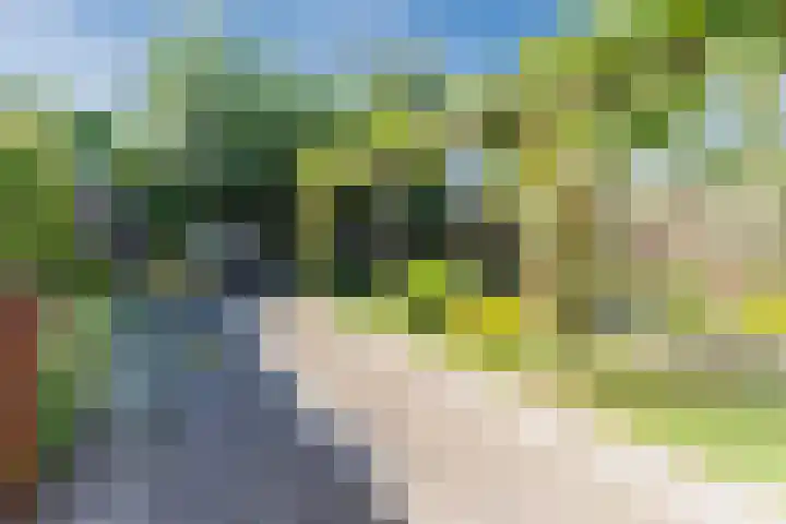 Voort 9 Reusel thumbnail 40