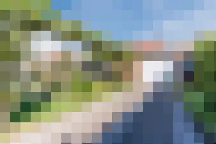 Voort 9 Reusel thumbnail 41