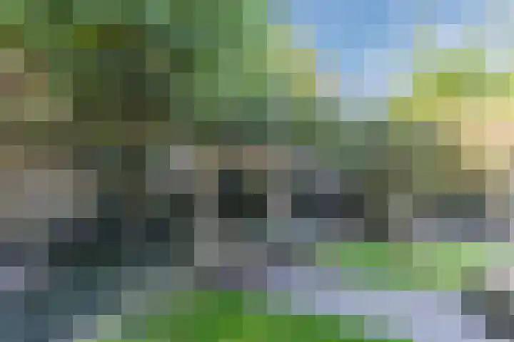 Voort 9 Reusel thumbnail 42