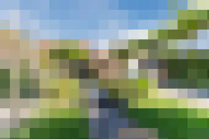 Voort 9 Reusel thumbnail 43