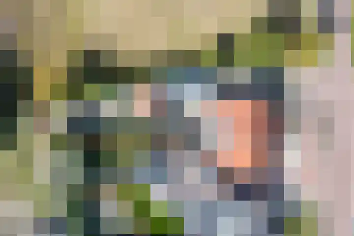 Voort 9 Reusel thumbnail 44