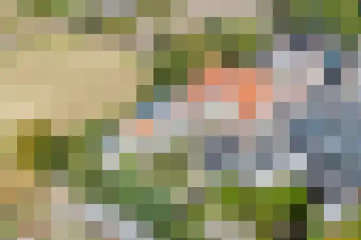 Voort 9 Reusel thumbnail 45