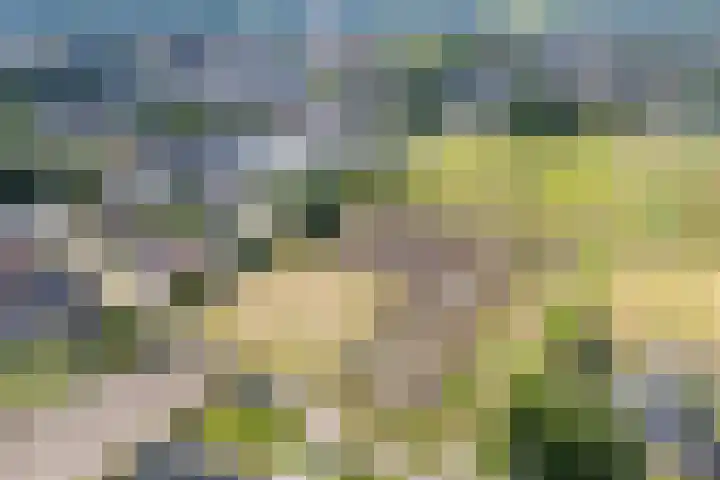 Voort 9 Reusel thumbnail 46