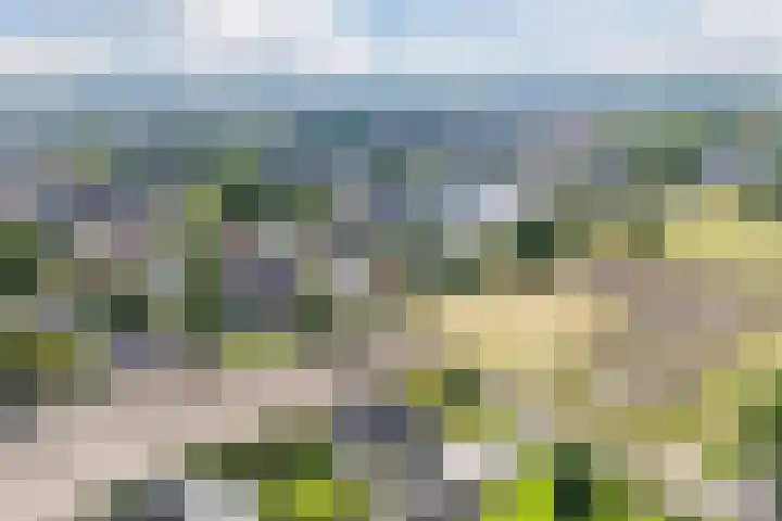 Voort 9 Reusel thumbnail 47