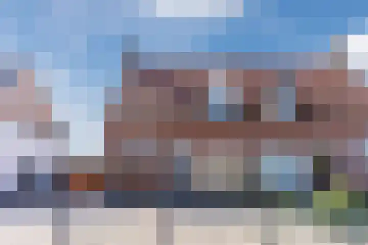 Voort 9 Reusel thumbnail 48