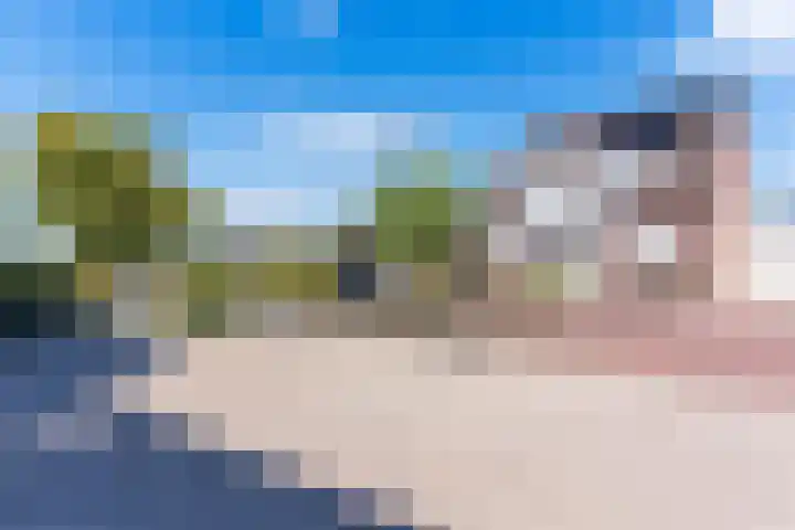 Voort 9 Reusel thumbnail 51
