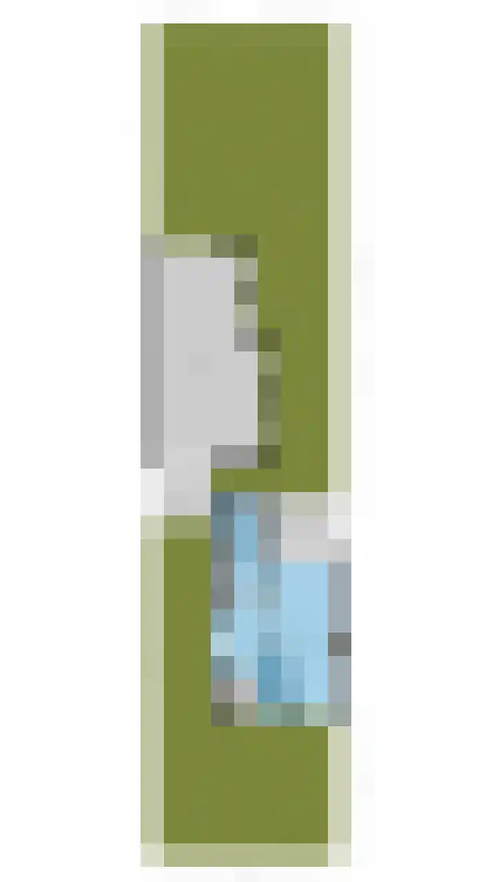 Voort 9 Reusel thumbnail 55