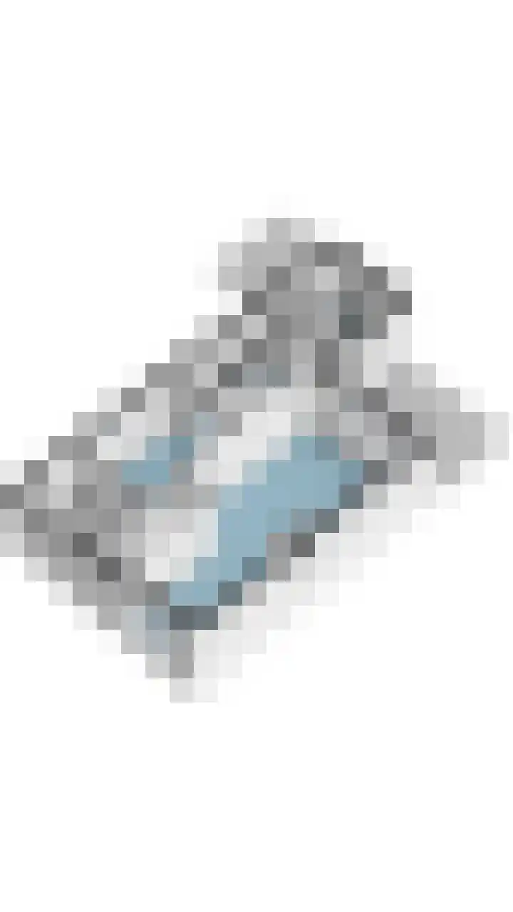 Voort 9 Reusel thumbnail 57