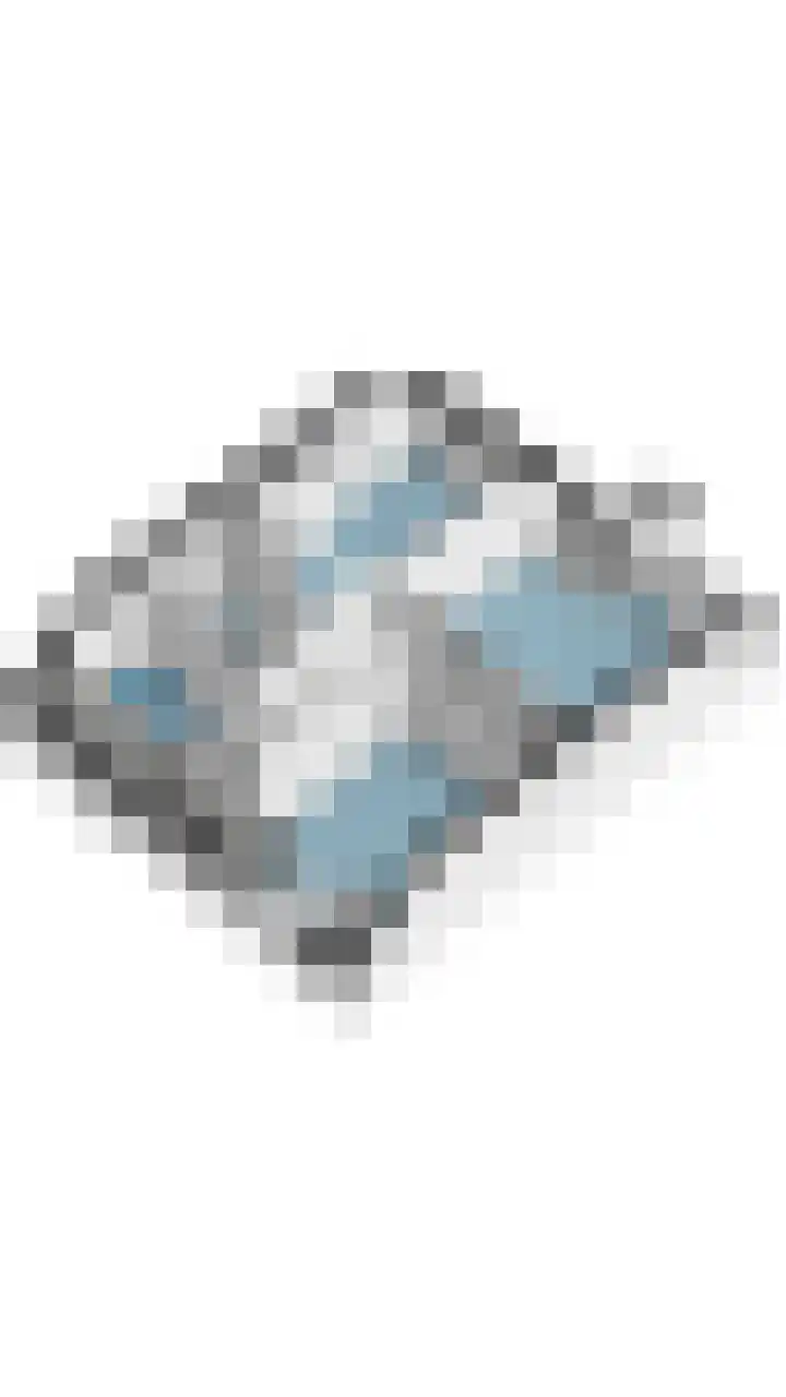 Voort 9 Reusel thumbnail 59