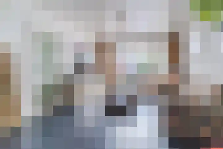 Voort 9 Reusel thumbnail 6