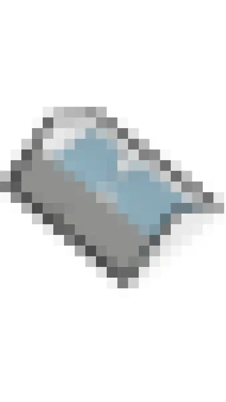 Voort 9 Reusel thumbnail 61