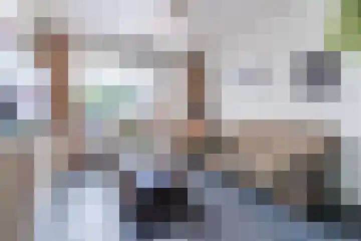 Voort 9 Reusel thumbnail 7