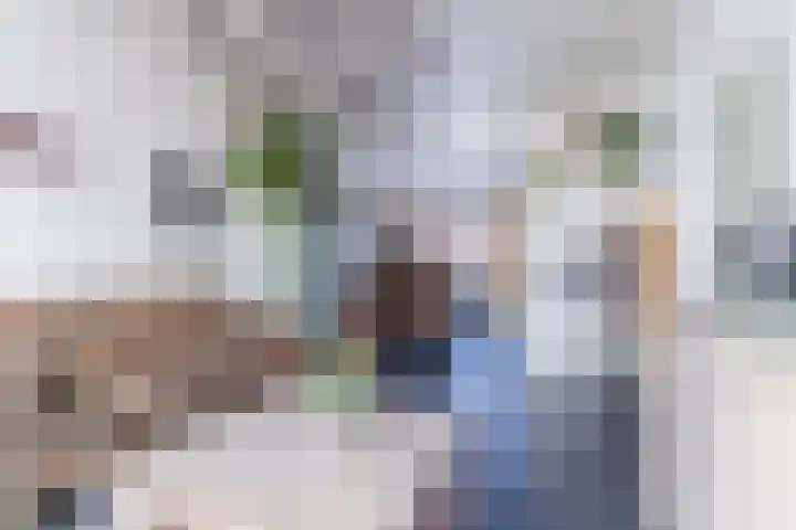 Voort 9 Reusel thumbnail 8