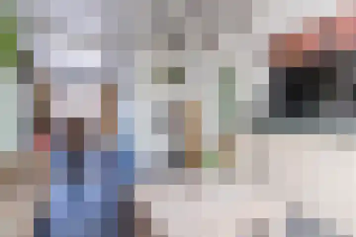 Voort 9 Reusel thumbnail 9