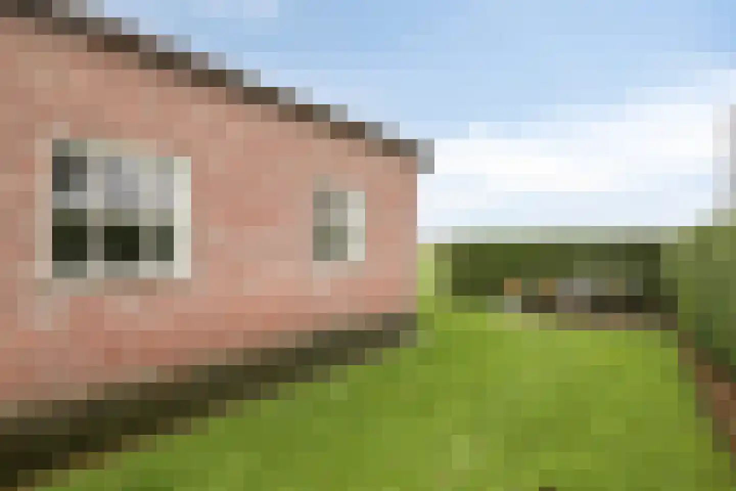 Voorteindseweg 24 a Oost West en Middelbeers thumbnail 50