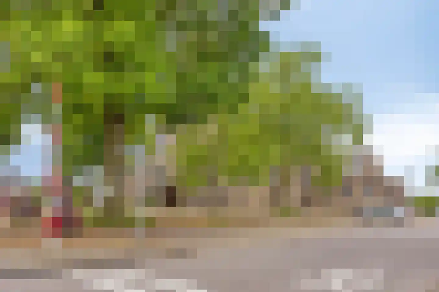 Voorterweg 11 Kelpen-Oler thumbnail 40