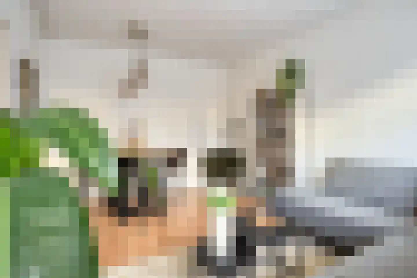 Voorterweg 170 Eindhoven thumbnail 10