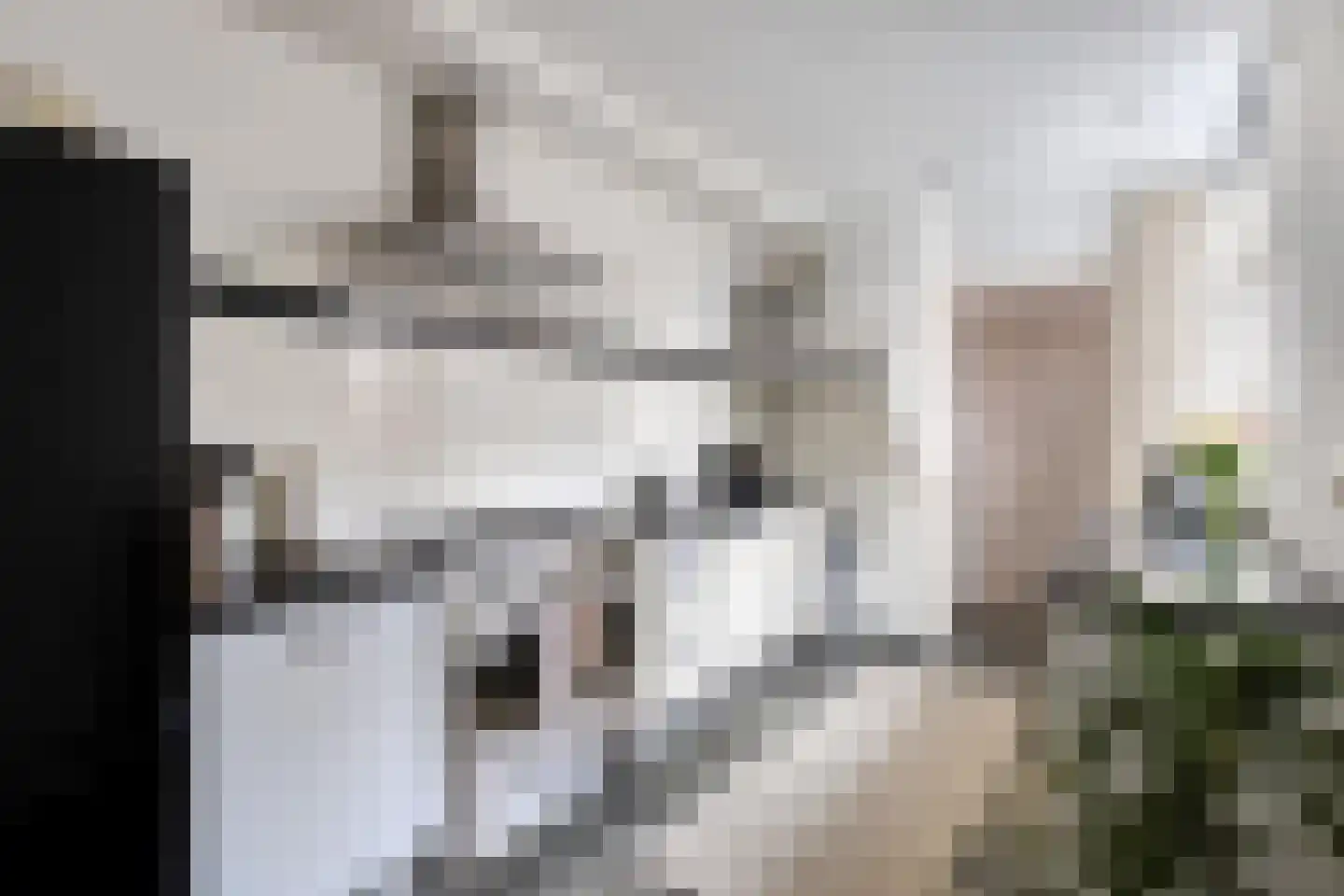 Voorterweg 170 Eindhoven thumbnail 13