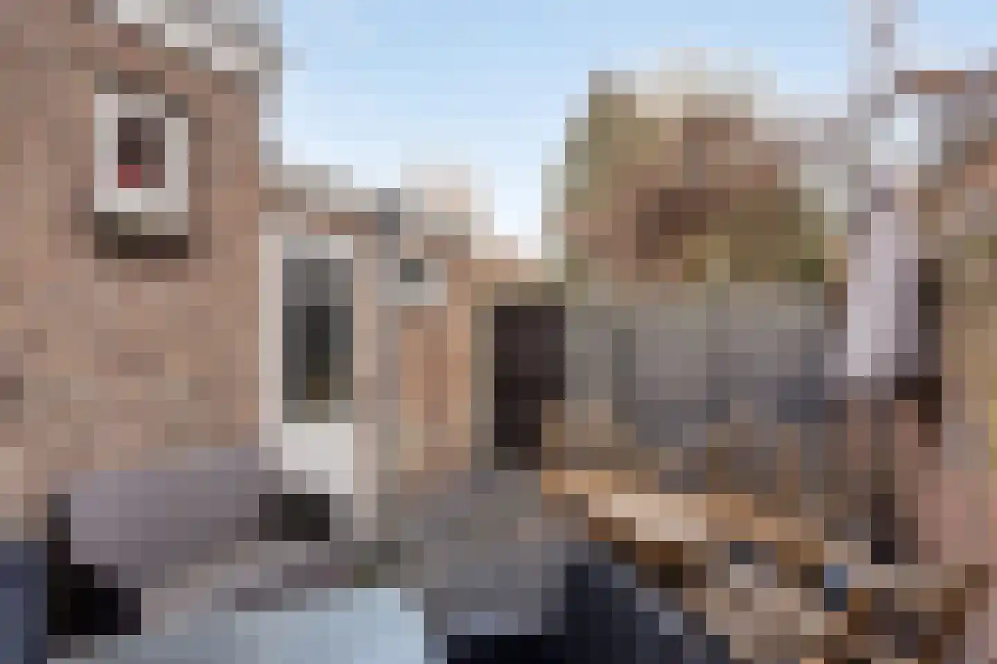 Voorterweg 170 Eindhoven thumbnail 22