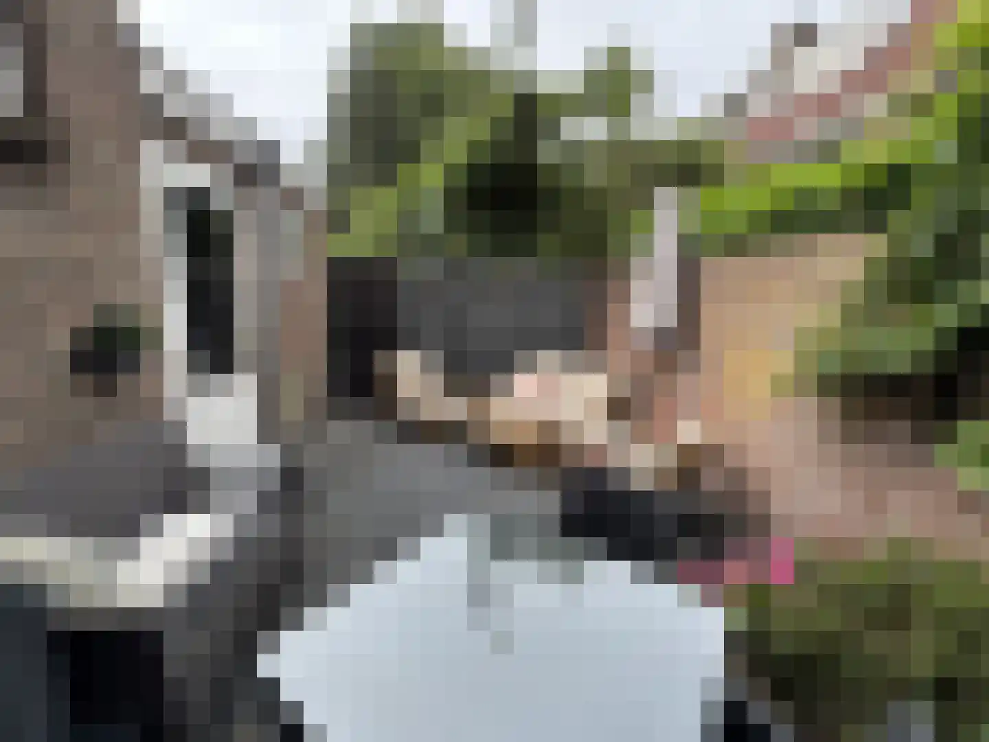 Voorterweg 170 Eindhoven thumbnail 23