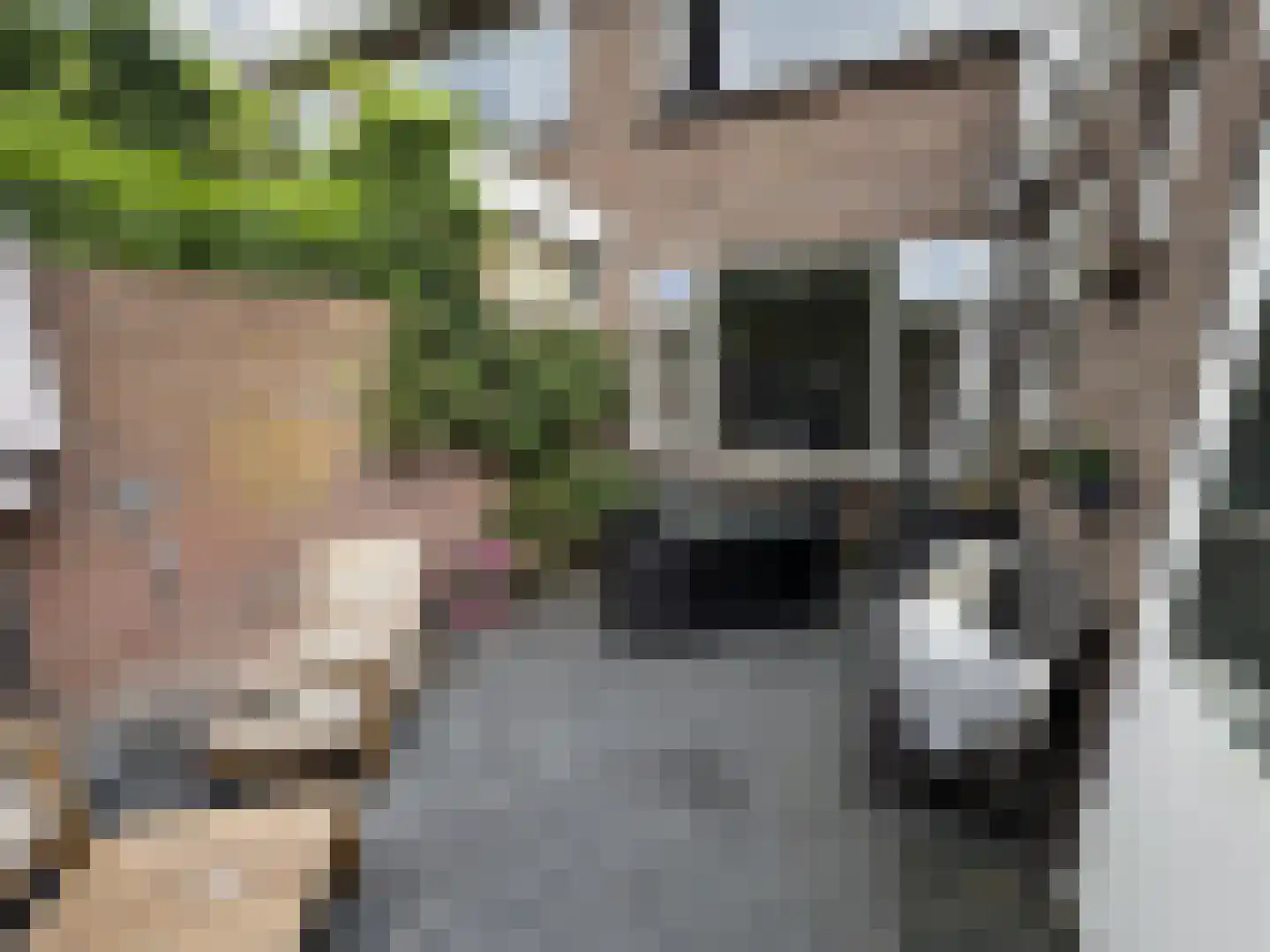 Voorterweg 170 Eindhoven thumbnail 24