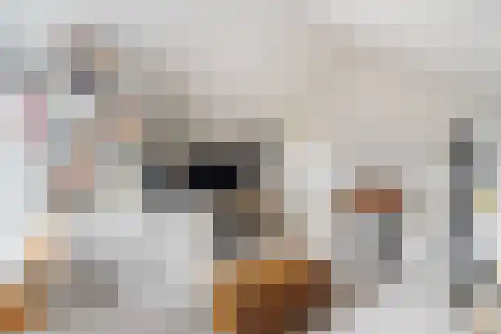 Voorterweg 2 a Kelpen-Oler thumbnail 32