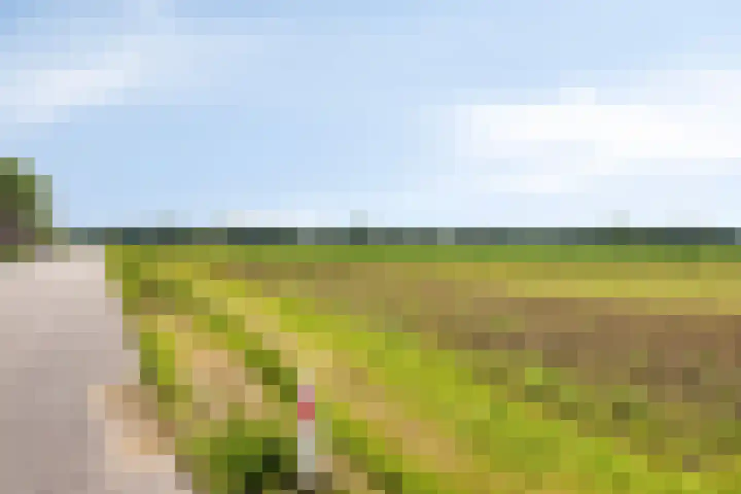 Voorterweg 2 Kelpen-Oler thumbnail 47