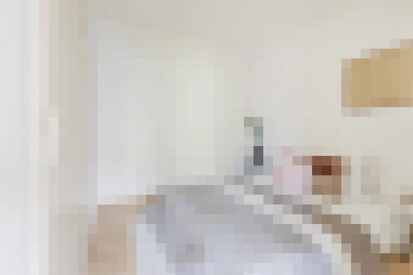 Voorterweg 208 Eindhoven thumbnail 20