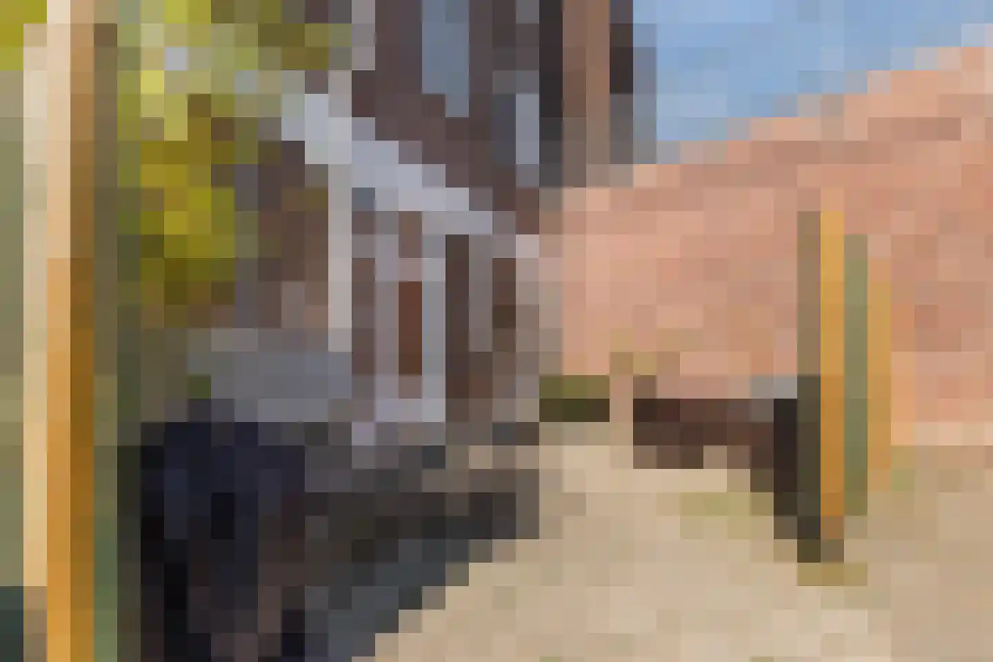 Voorterweg 208 Eindhoven thumbnail 34